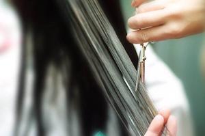 「フコイダンの驚くべき健康効果と選び方ガイド – 家族全員の免疫力をサポートする最適サプリメント」