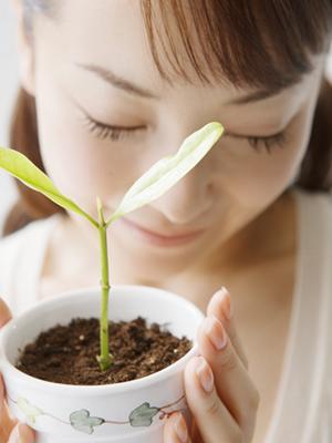 ふくろう整骨院をご存知でしょうか