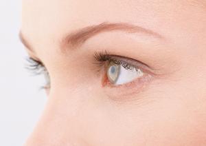 フコイダンの効果と安全性を徹底解説！最新2025年版の完全ガイド